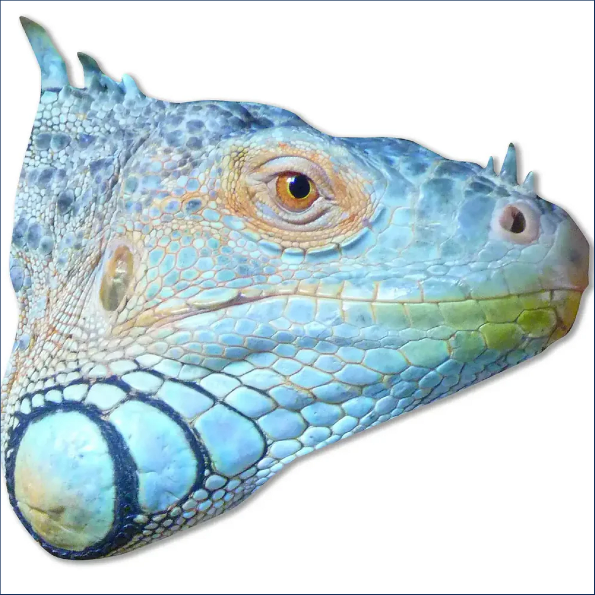 Pet Foam Core Cutout